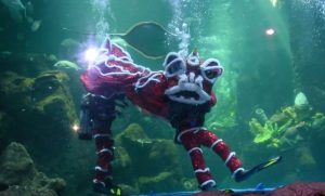 Imlek 2021, Ancol Suguhkan Barongsai Yin Yang Living In Harmony