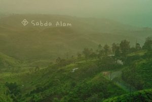 Senandung Untuk Alam Dari Once Mekel lewat Single “Sabda Alam”