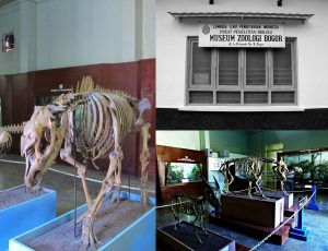 Libur Lebaran, Museum di Bogor Sepi Pengunjung