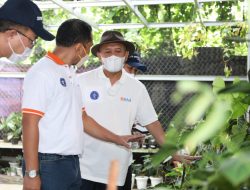 KemenkopUKM dan IPB Kembangkan Model Bisnis bagi Petani Tanaman Hias Bogor