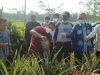 KemenkopUKM Bangun Koperasi Moderen dan Jadi OffTaker Produk Pertanian di Subang
