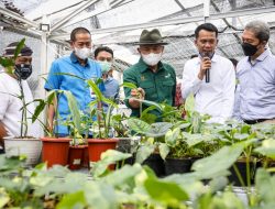 MenKopUKM Dukung Minaqu dan Koperasi Garap Potensi Pasar Tanaman Hias Dunia Sebesar Rp3.000 Triliun