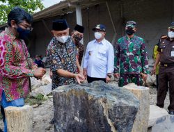 Kerajinan Batu dan Kayu Fosil Tulungagung Sukses Dilirik Pasar Global
