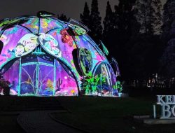 Destinasi Baru Atraksi Lampu Hias di Kebun Raya Bogor