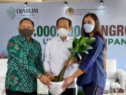 Bakti Lingkungan Djarum Foundation Sukses Tanam 1 Juta Mangrove