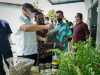 Produk Unggulan Domestik Daun Kelor Asal NTB Jadi Incaran Pasar Dunia