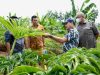 LPDB-KUMKM Dorong Koperasi Sektor Riil Agar Menjadi Aggregator Bagi Anggotanya