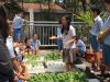 Jaga Ketahanan Pangan Melalui Sistem Tanam Sayur Sederhana