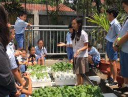 Jaga Ketahanan Pangan Melalui Sistem Tanam Sayur Sederhana