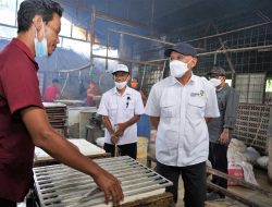 Kacang Koro Pedang, Alternatif Bahan Baku Tempe dan Tahu