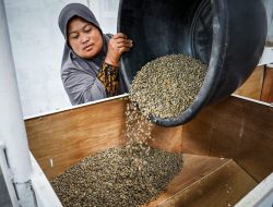 Solusi Menteri Teten Agar Kopi Aceh Tengah Masuk Pasar Global