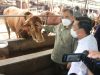 Kementan Pastikan Stok Daging Sapi Aman Hingga Idul Fitri 2022