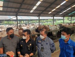 Mentan SYL Pastikan Stok Sapi Siap Potong di Sumut dan Aceh Aman