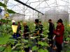 Kiprah Tiga Pendatang Baru Lembaga Inkubator LPDB-KUMKM Tahun 2022
