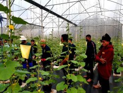 Kiprah Tiga Pendatang Baru Lembaga Inkubator LPDB-KUMKM Tahun 2022