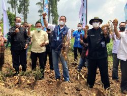 Melalui Koperasi, LPDB-KUMKM Sinergikan Ekosistem Korporatisasi Petani