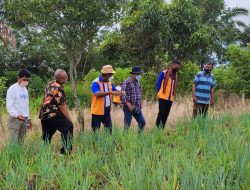 LPDB-KUMKM Bersama Koperasi Obor Mas Dukung Penuh Program Ketahanan Pangan di NTT