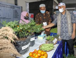 MenKopUKM: NTB Jadi Role Model Transformasi UMKM Berbasis Inovasi dan Teknologi