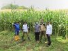 LPDB-KUMKM Dorong Pengembangan Ekosistem Sapi Perah Unpad jadi Percontohan