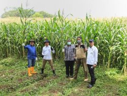 LPDB-KUMKM Dorong Pengembangan Ekosistem Sapi Perah Unpad jadi Percontohan