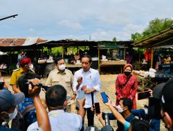 Presiden Jokowi Minta Kasus Minyak Goreng Diusut Tuntas