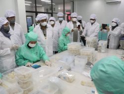 Lepas Ekspor ke Cina, Mentan Dorong Sarang Burung Walet Indonesia Tembus Pasar Amerika dan Eropa
