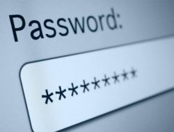 220 Ribu Lebih Bos di Dunia Suka Pakai Password Lemah