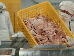 Hasta Inc dan Arwinda Perwira Utama Optimis Wujudkan Industri Peternakan Ayam Mutakhir Dari Hulu Ke Hilir