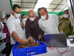 Pembangunan Pabrik Minyak Makan Merah oleh Koperasi Harus Dipercepat