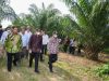 MenKopUKM Ajak Petani Sawit Serdang Bedagai Berkoperasi Bangun Pabrik Minyak Makan Merah