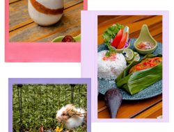 Aviary Bintaro Siapkan Kegiatan Menarik Sambut Liburan Sekolah