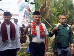 Rayakan HUT Jakarta ke 495, Apical Group Tanam 3000 Mangrove