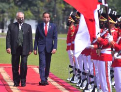 Presiden Jokowi Terima Kunjungan Presiden Timor Leste Jose Ramos-Horta