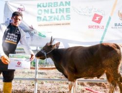 Idul Adha SiCepat Gandeng Baznas Salurkan 750 Kaleng Daging Kurban