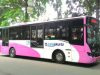 Hari Ini, TransJakarta Operasikan Bus Pink Khusus Wanita