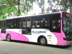 Hari Ini, TransJakarta Operasikan Bus Pink Khusus Wanita