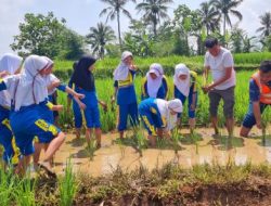 Belajar Pertanian Ramah Lingkungan di Kampung Papisangan, Cicurug – Sukabumi
