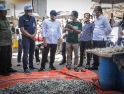 MenKopUKM: Program Solar untuk Koperasi Nelayan Siap Uji Coba di Surabaya