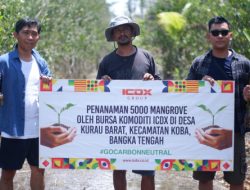 ICDX Tanam 5000 Pohon Mangrove di Bangka Belitung Sebagai Komitmen Netral Karbon