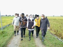 Gubernur Khofifah Apresiasi Surplus Beras Kabupaten Ngawi Tertinggi se Indonesia