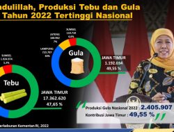 Jawa Timur Jadi Produsen Gula dan Tebu Tertinggi Nasional
