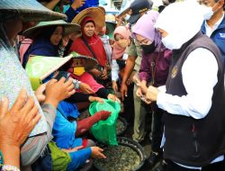 Nilai Tukar Petani (NTP) dan Nilai Tukar Nelayan (NTN) Jatim Alami Kenaikan di Bulan Desember