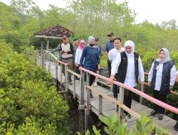 Trenggalek Siap Gelar Festival Mangrove Keempat di Bulan Maret 2023