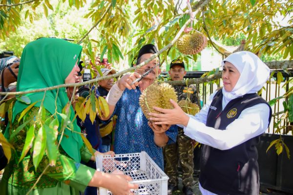 Gubernur Khofifah Indar Parawansa