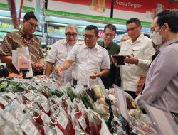 NFA Gencarkan Pengecekan Pemenuhan Persyaratan Keamanan Pangan di Peredaran