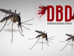 Awas Ada Puluhan Ribu Kasus DBD di Indonesia