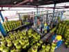 Beli LPG 3 Kg Masyarakat Wajib Tunjukkan KTP Tahun Depan