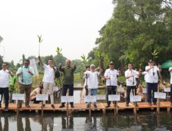 Apical Tanam 3.000 Pohon Mangrove dalam Peringati Hari Mangrove Sedunia