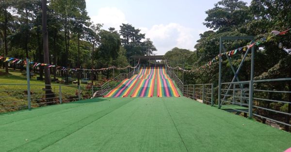 Dingo Rainbow Slide