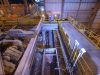 MIND ID Lakukan Hilirisasi dengan Meresmikan Smelter Tembaga di Gresik